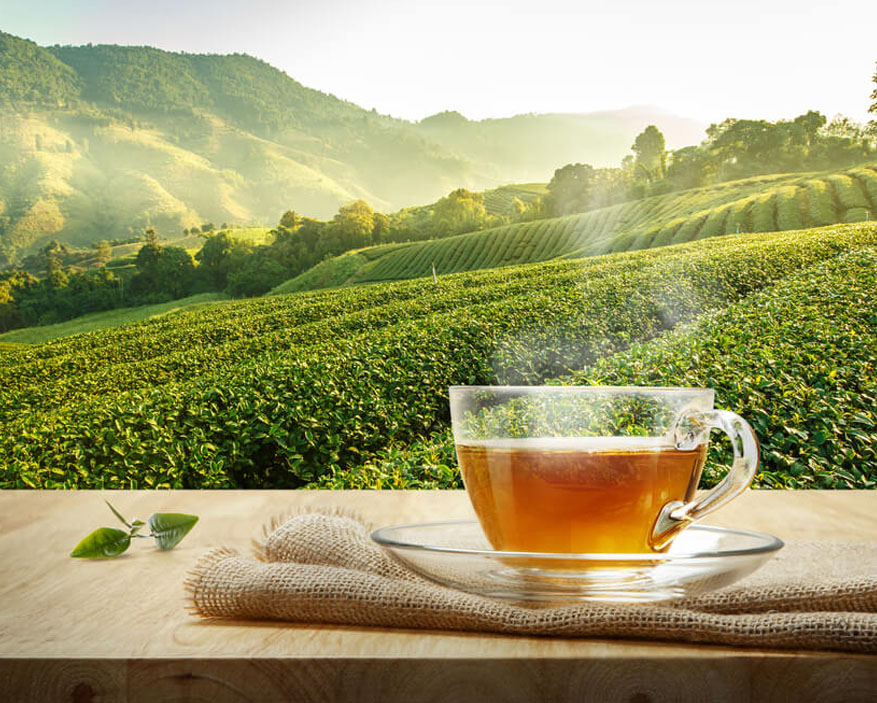 Tea & Textile Exports