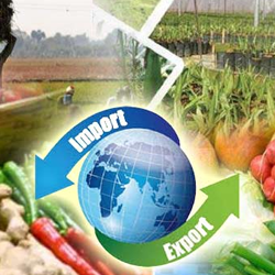 Agriculture Division