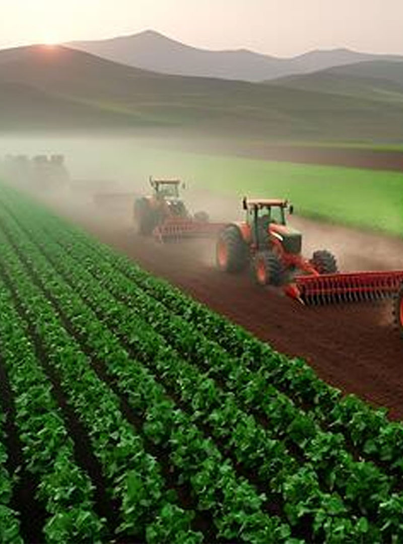 Agricultural Products